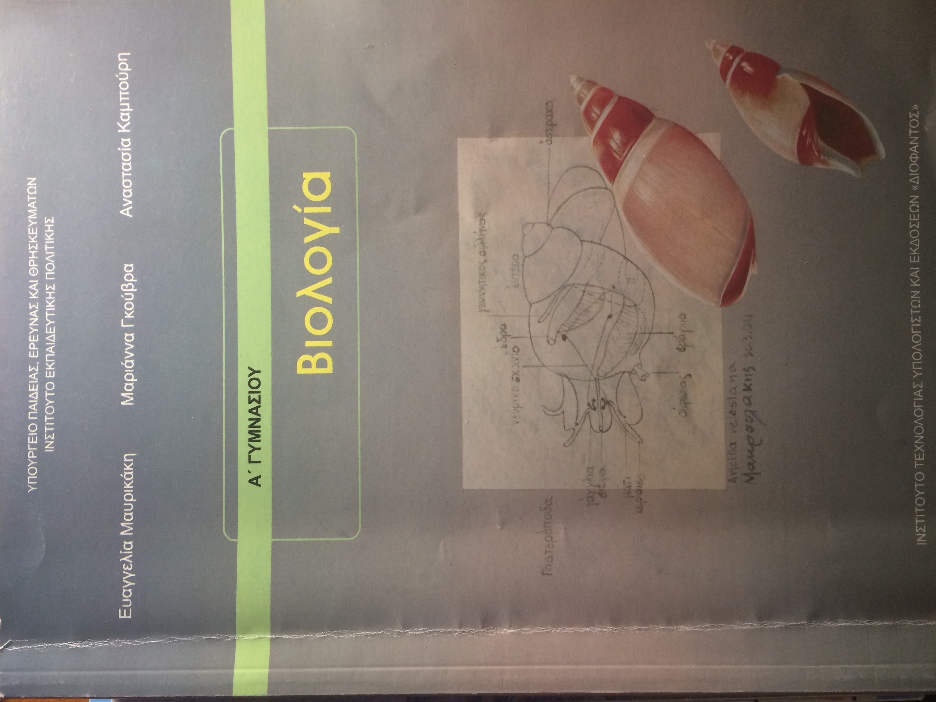 Εικόνα επιλογής