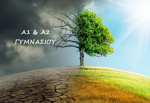 Εικόνα επιλογής