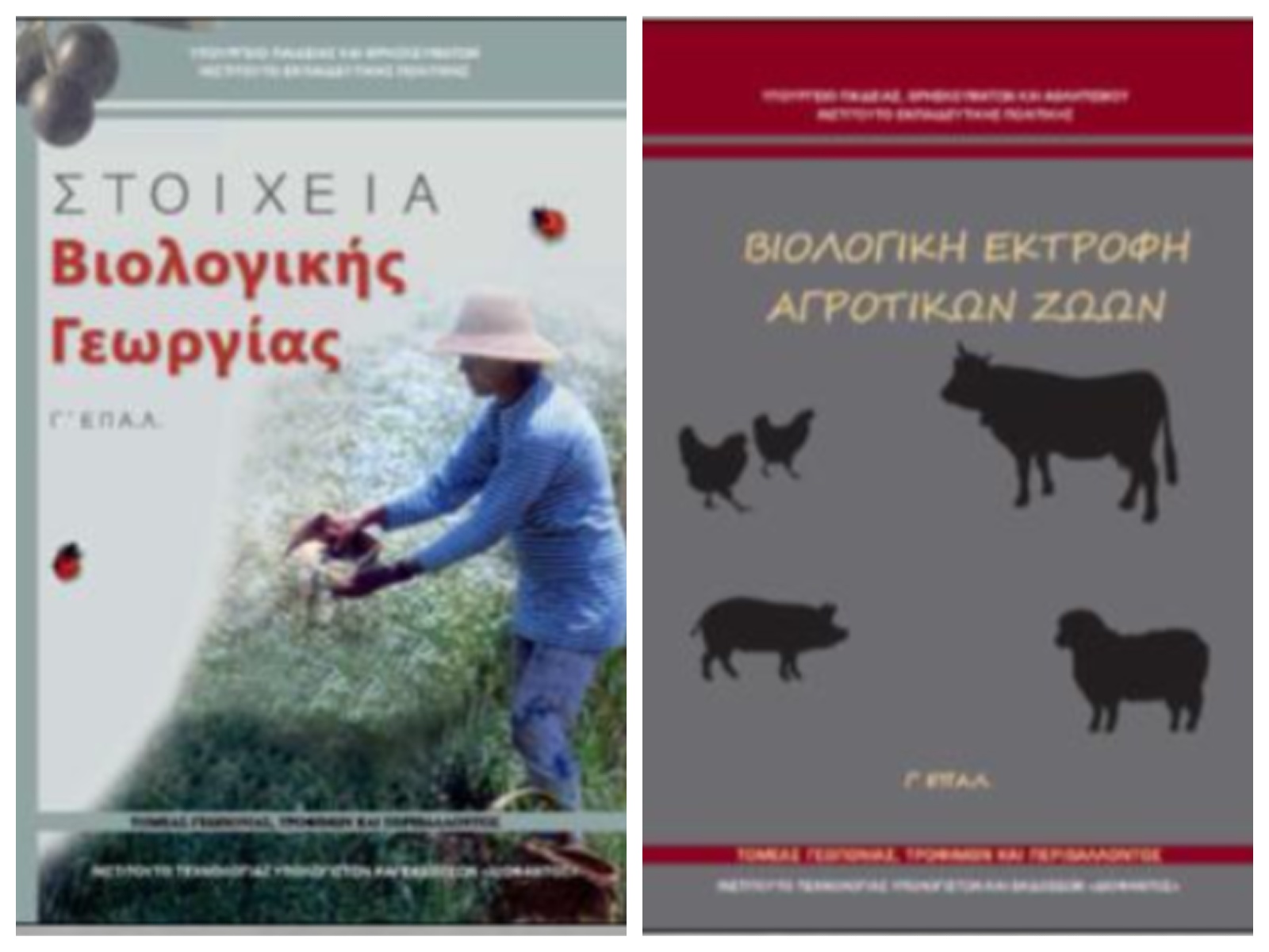 Εικόνα επιλογής