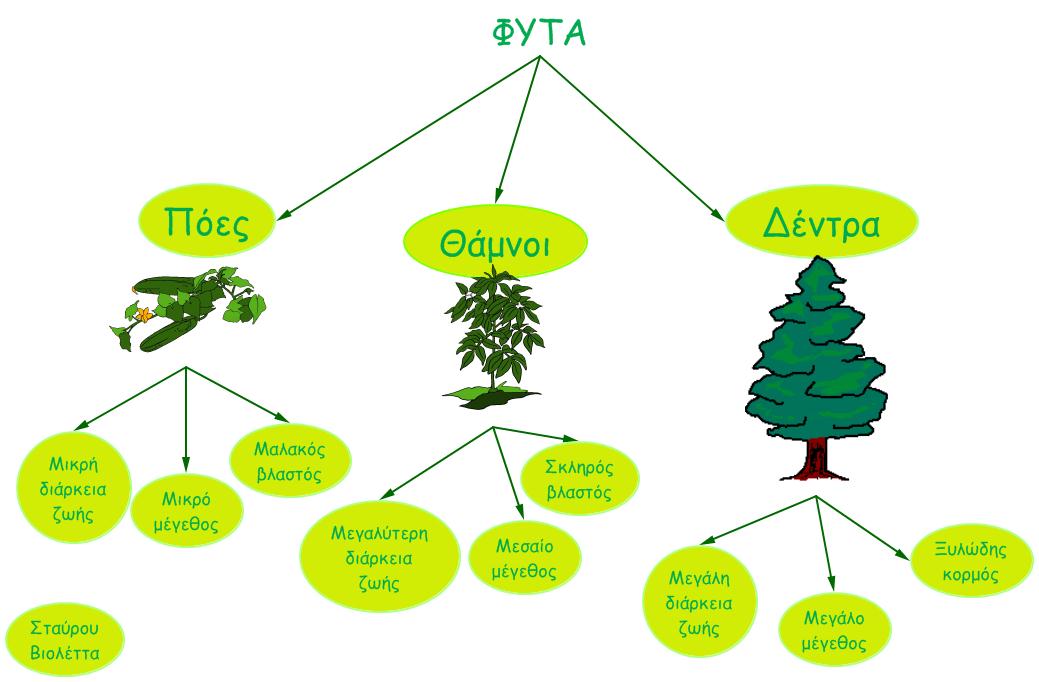 Μάθημα